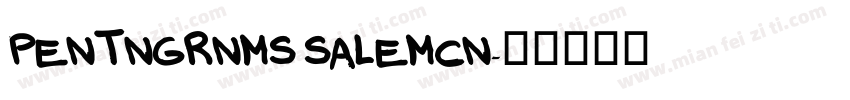 PENTNGRNMS SALEMCN字体转换